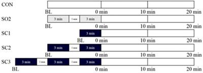 Acute effects of one-leg standing on arterial stiffness in older women: Role of the vision condition and standing dose